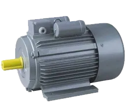 High Quality manufacturer, exporter and supplier Induction Motor